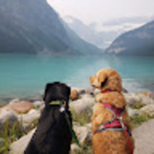 Meet your Posher, Mel mel